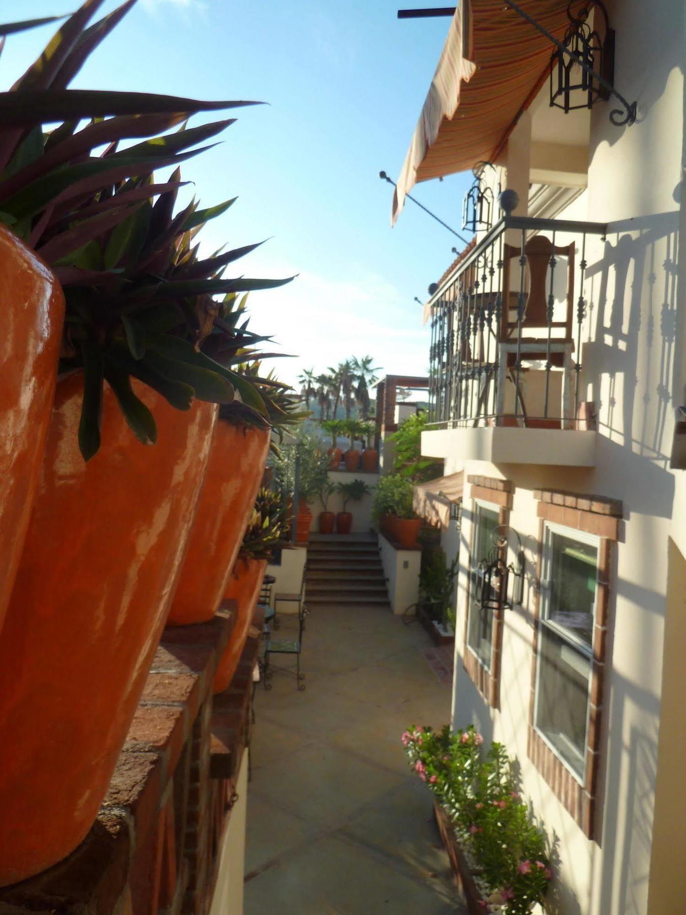 The Suites By Villa Valentina San José del Cabo Exteriör bild